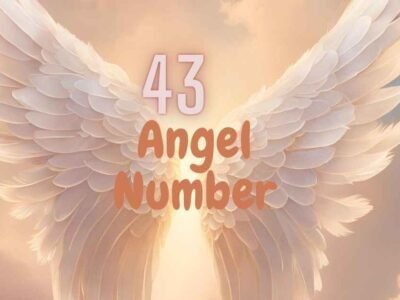 43 Angel Number