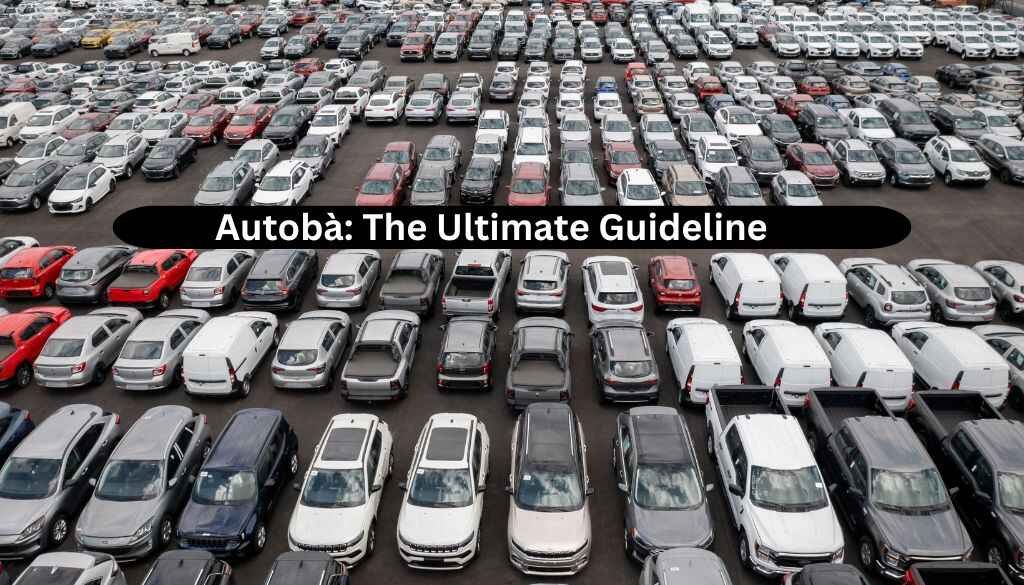 Autobà The Ultimate Guideline