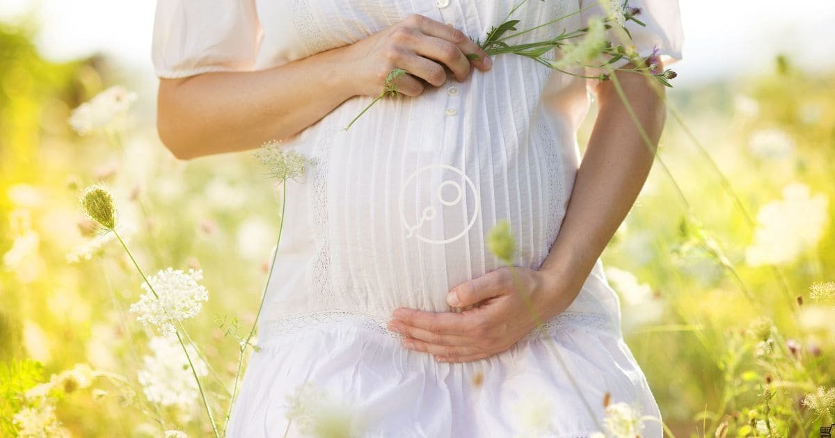 Nurturing Fertility Lifestyle Choices That Support Reproduction
