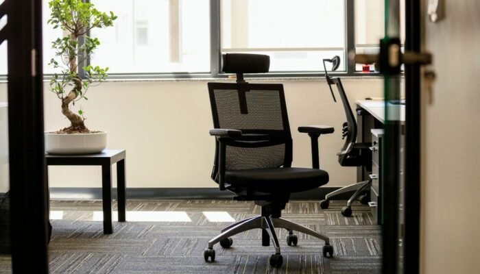 Sohnne Eames Chair Review